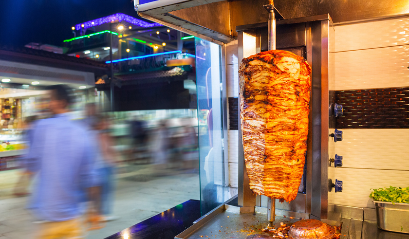 kebab business plan in india